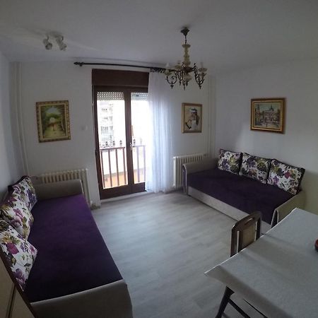 Violet Star Apartment Novi Sad Ngoại thất bức ảnh