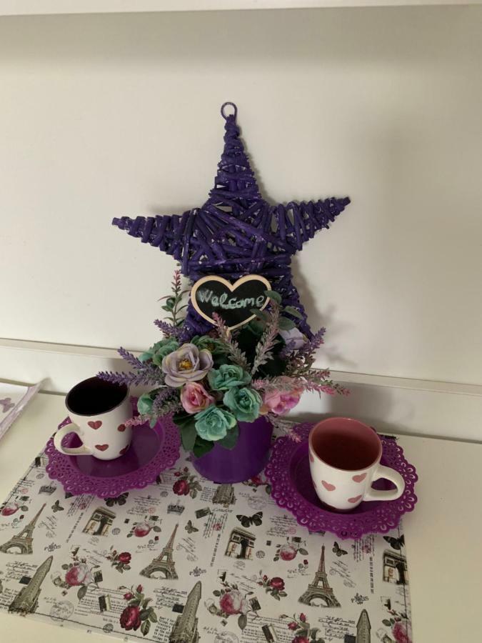 Violet Star Apartment Novi Sad Ngoại thất bức ảnh